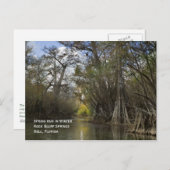 Lente in het Briefkaart Winter (Voorkant / Achterkant)