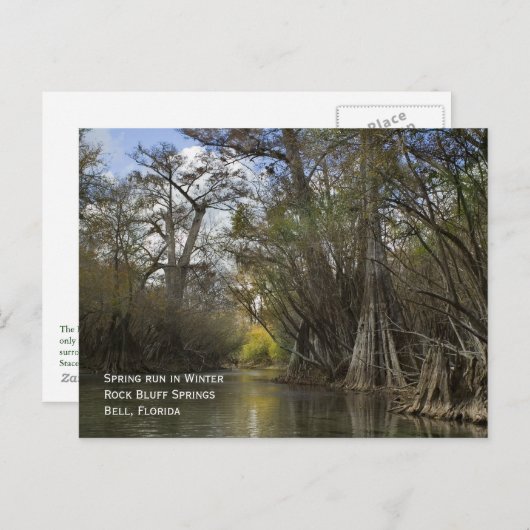 Lente in het Briefkaart Winter (Voorkant / Achterkant)