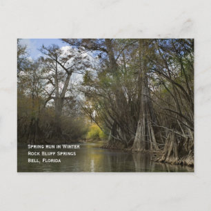 Lente in het Briefkaart Winter