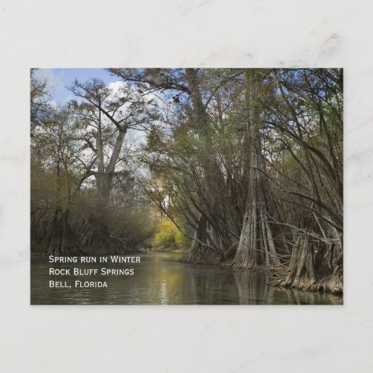 Lente in het Briefkaart Winter (Voorkant)