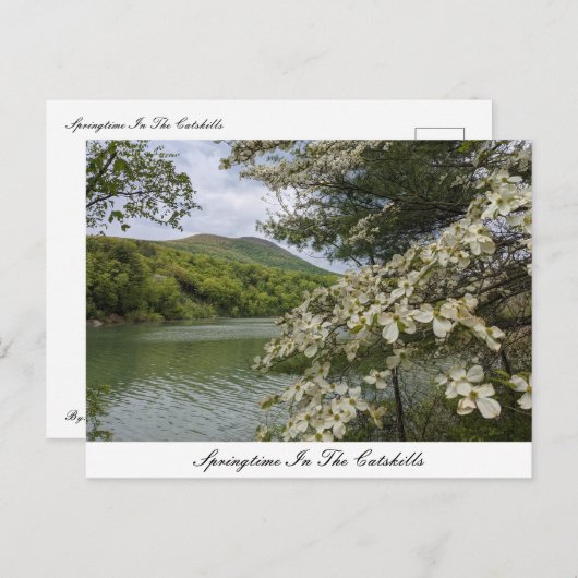 Lente in het Catskills Briefkaart (Voorkant / Achterkant)