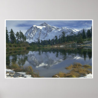 Lente in het hooggebergte poster