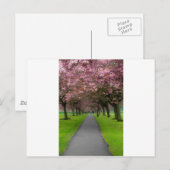 Lente in het park briefkaart (Voorkant / Achterkant)