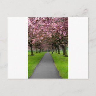 Lente in het park briefkaart