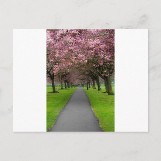 Lente in het park briefkaart (Voorkant)