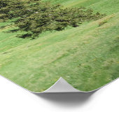 Lente in het Tatragebergte Poster (Hoek)