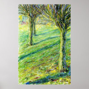 Lente in het West Park, Long Eaton (prent) Poster