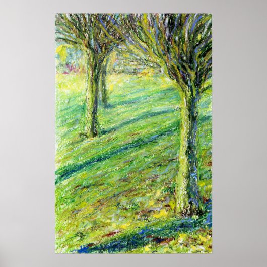 Lente in het West Park, Long Eaton (prent) Poster (Voorkant)