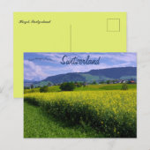 Lente in Hirzel Zwitserland Briefkaart (Voorkant / Achterkant)