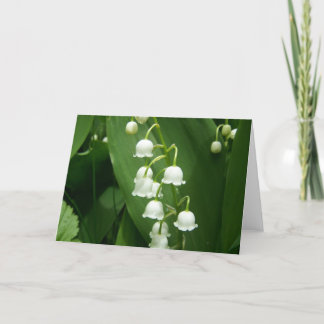 Lente in Maine Kaart