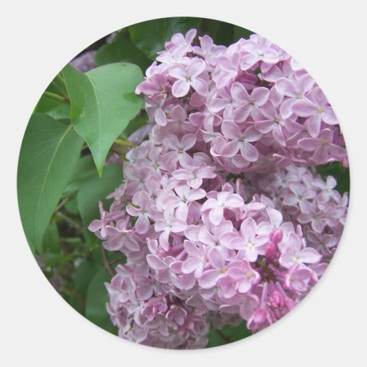 Lente in Maine Ronde Sticker (Voorkant)