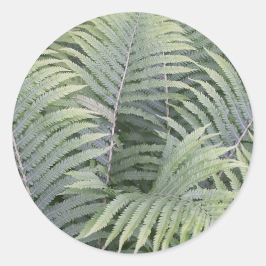 Lente in Maine Ronde Sticker (Voorkant)
