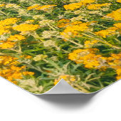 Lente in Monterey Poster (Hoek)