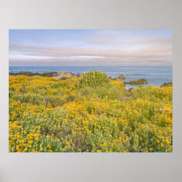 Lente in Monterey Poster