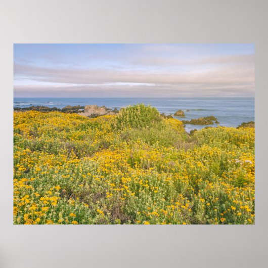 Lente in Monterey Poster (Voorkant)