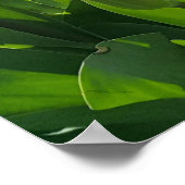 Lente in Nederland met Tulps Poster (Hoek)