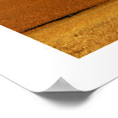 Lente in Negev Poster (Hoek)