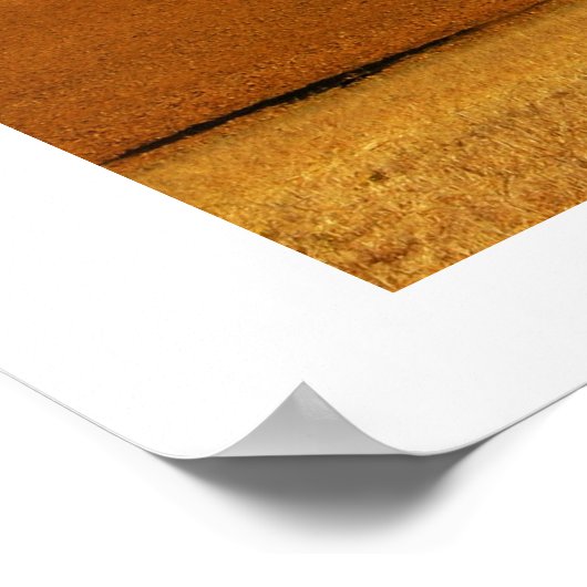 Lente in Negev Poster (Hoek)