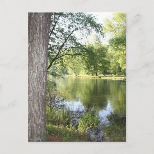 "Lente in Oost-Tennessee" ansichtkaart Briefkaart (Voorkant)