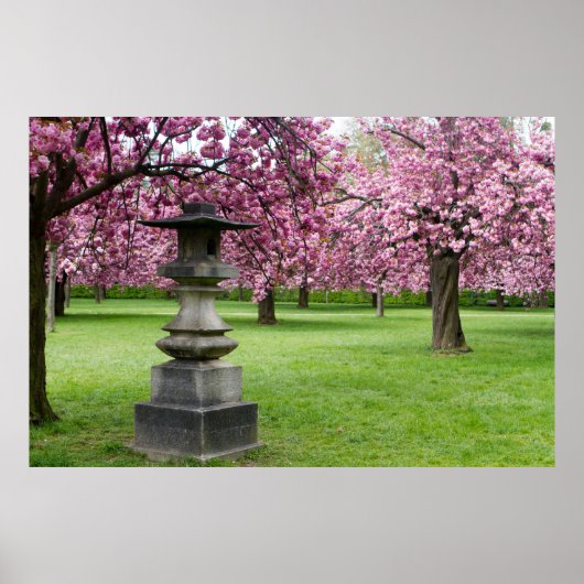 Lente in Paris Cherry Blossom Poster (Voorkant)