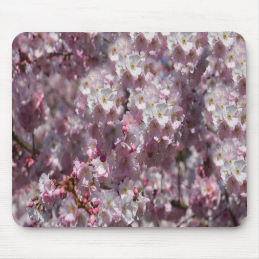 Lente in Roze Muismat (Voorkant)