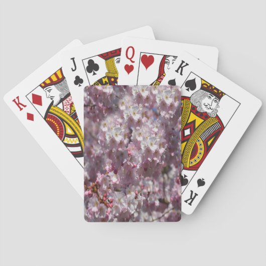 Lente in roze pokerkaarten (Achterkant)