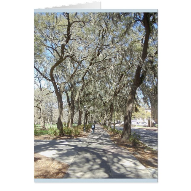 Lente in Savannah (Voorkant)