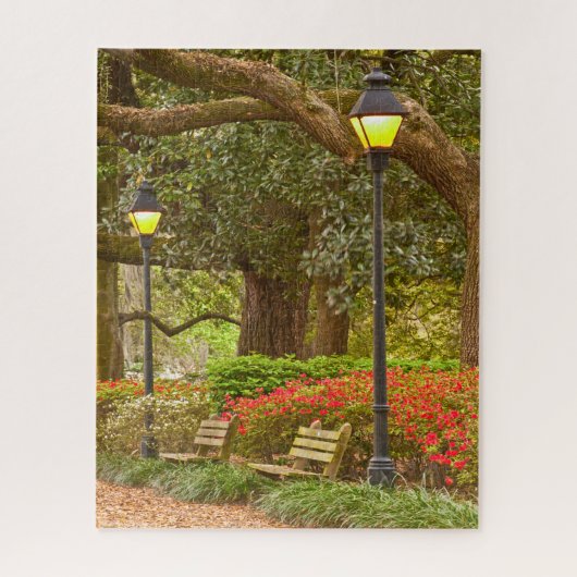 Lente in Savannah, GA, Forsyth Park, Fotografie Legpuzzel (Verticaal)