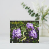 Lente in Texas Briefkaart (Staand voorkant)