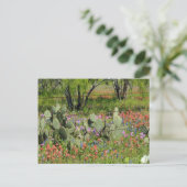 Lente in Texas Briefkaart (Staand voorkant)