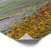 Lente in Texas Poster (Hoek)