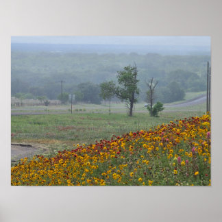 Lente in Texas Poster