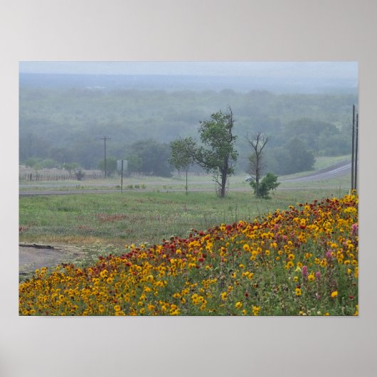Lente in Texas Poster (Voorkant)