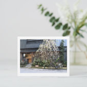 Lente in Tokyo Briefkaart (Staand voorkant)