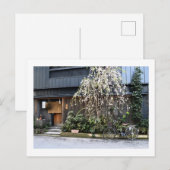 Lente in Tokyo Briefkaart (Voorkant / Achterkant)