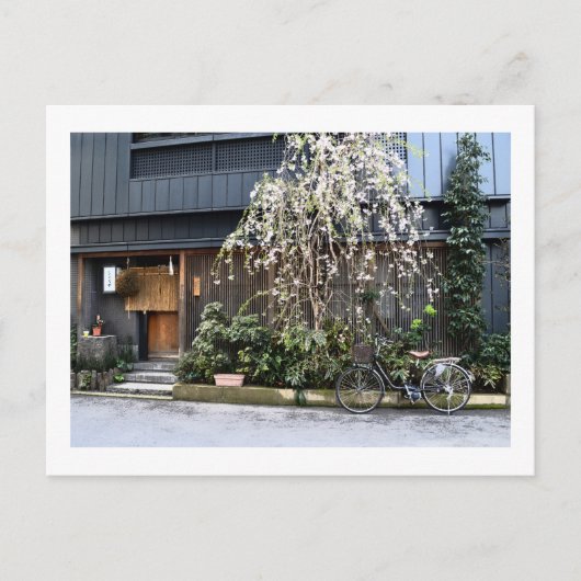 Lente in Tokyo Briefkaart (Voorkant)