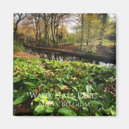 Lente in Waux Hall park in Mons, België Magneet