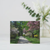 lente in Wenen Briefkaart (Staand voorkant)