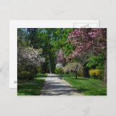 lente in Wenen Briefkaart (Voorkant / Achterkant)