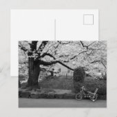 Lente in West-Tokio Briefkaart (Voorkant / Achterkant)
