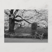 Lente in West-Tokio Briefkaart (Voorkant)