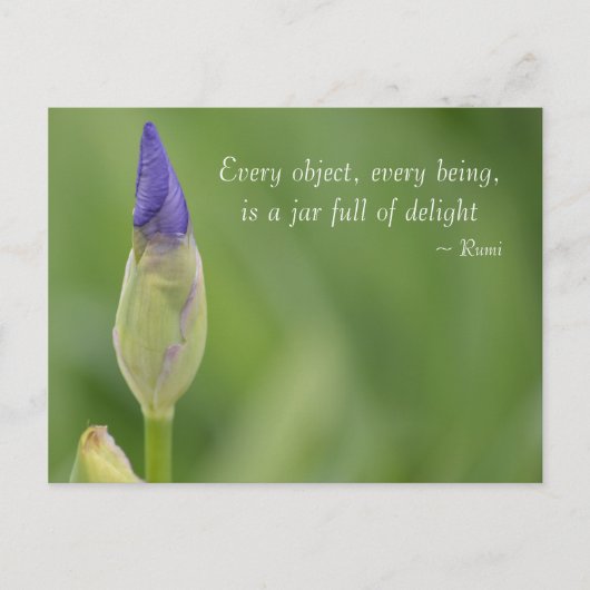 lente-iris briefkaart (Voorkant)