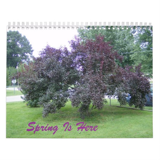 Lente Is Hier Kalender (Hoes)