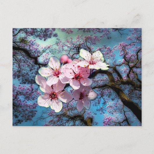 Lente is ontstaan briefkaart (Voorkant)