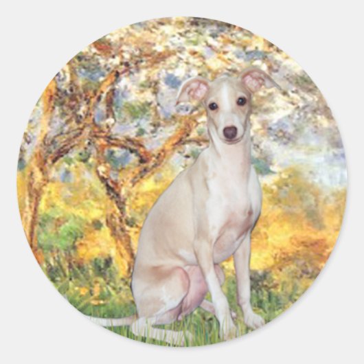 Lente - Italiaanse windhond 5 Ronde Sticker (Voorkant)