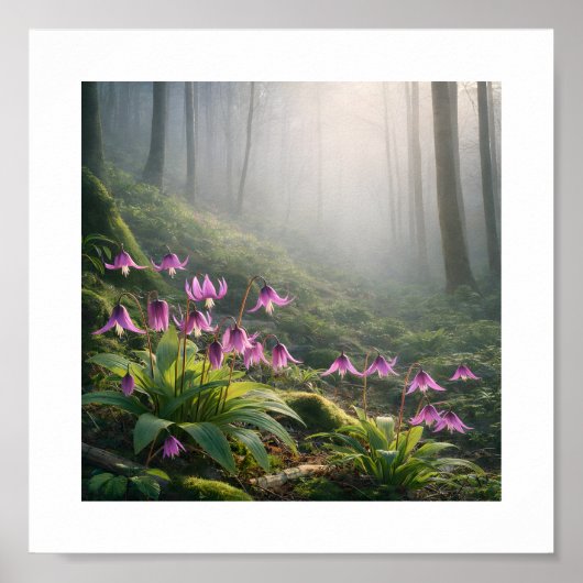 Lente Katakuri in Misty – Atr Print (Voorkant)