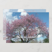 lente kersenbloesem boom kaart (Voorkant / Achterkant)