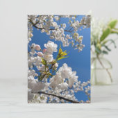 Lente Kersenbloesem Kaart (Staand voorkant)