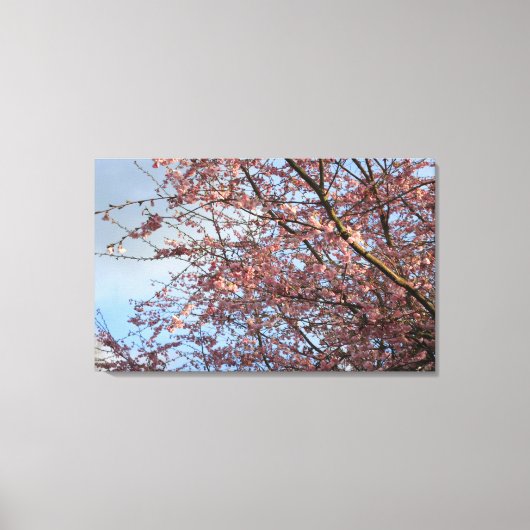Lente kersenboom bloeien canvas afdruk (Voorkant)