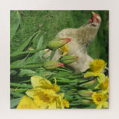lente,kip, dier, kuiken, vogel, boerderij, schatti legpuzzel (Horizontaal)
